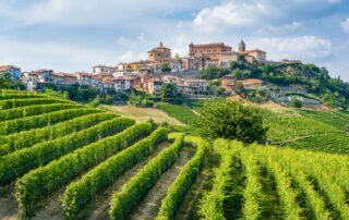 Barolo