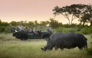 Singita