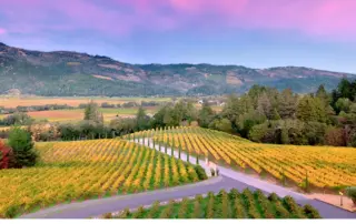 Napa Valley's Premier Luxe Retreats: A Downtown Oasis napa valley