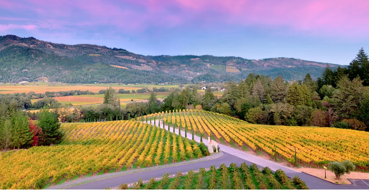 napa valley