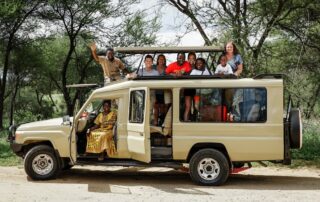 Capture the Wild: Ultimate Private Photographic Safari Lodges tmp6vkfgjzq