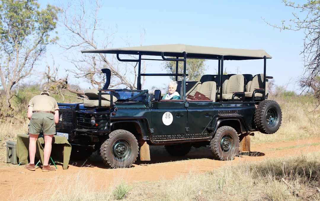 Safari
