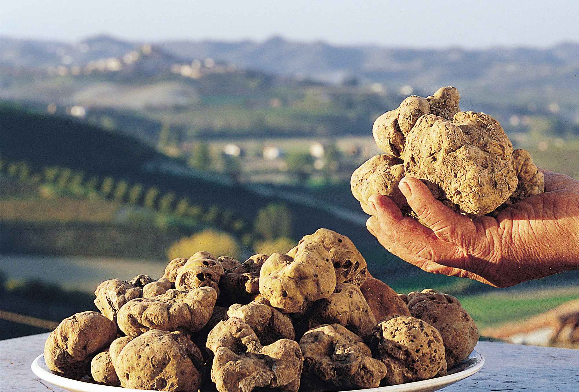 truffle