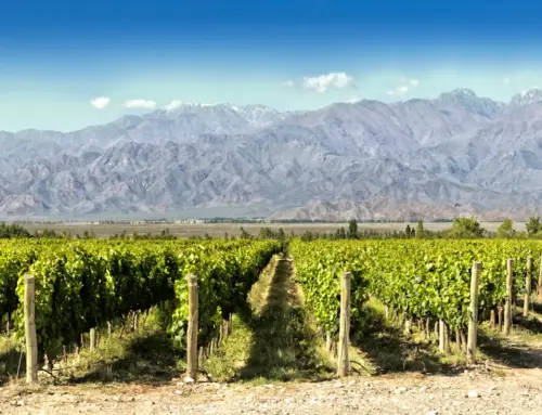 Exploring Argentina’s Malbec Heartland