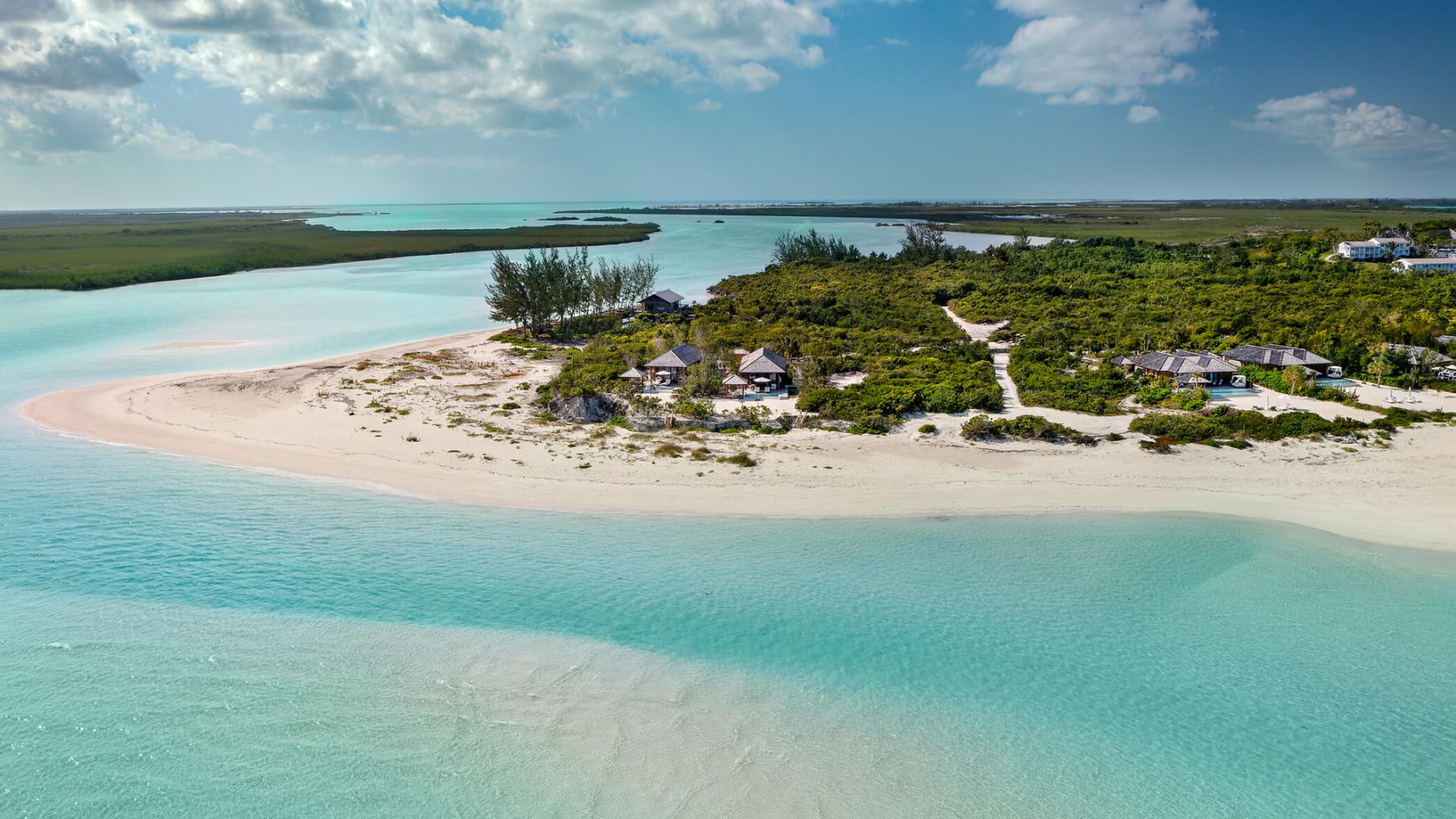 como parrot cay