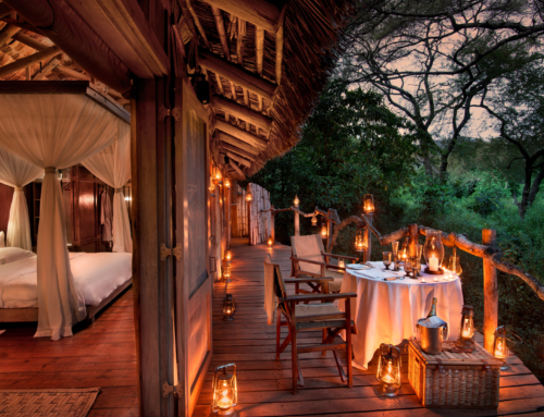 Luxury Lodges of Lake Manyara: Unveiled