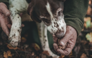 truffle